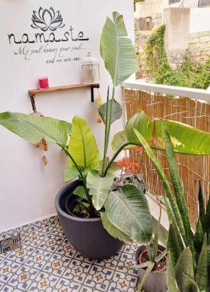 Namaste :) Enjoy Every Moment Mellieha Exterior photo